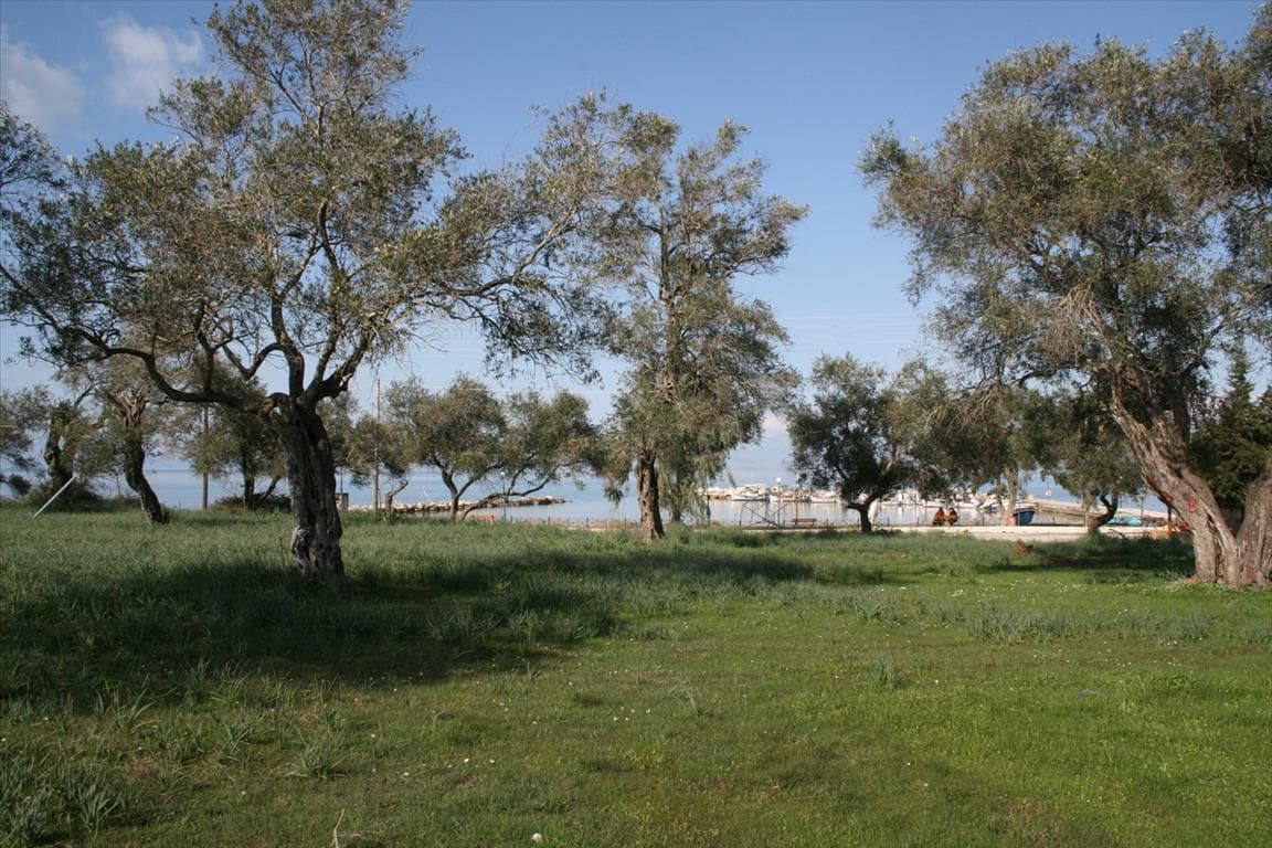 For Sale Land 21083 m² in Corfu