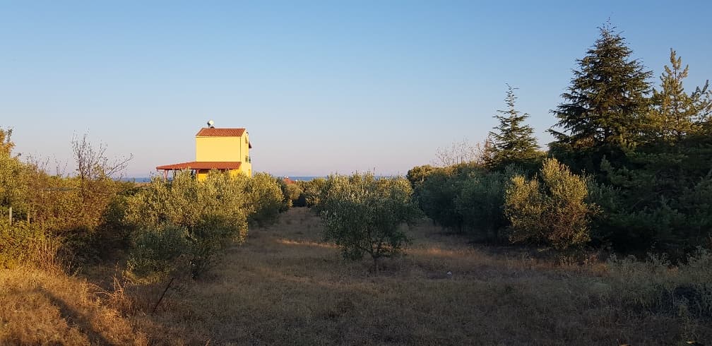For Sale Land 2250 m² in Chalkidiki
