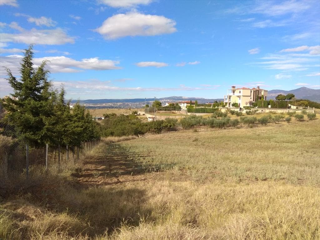For Sale Land 5600 m² in the suburbs of Thessaloniki