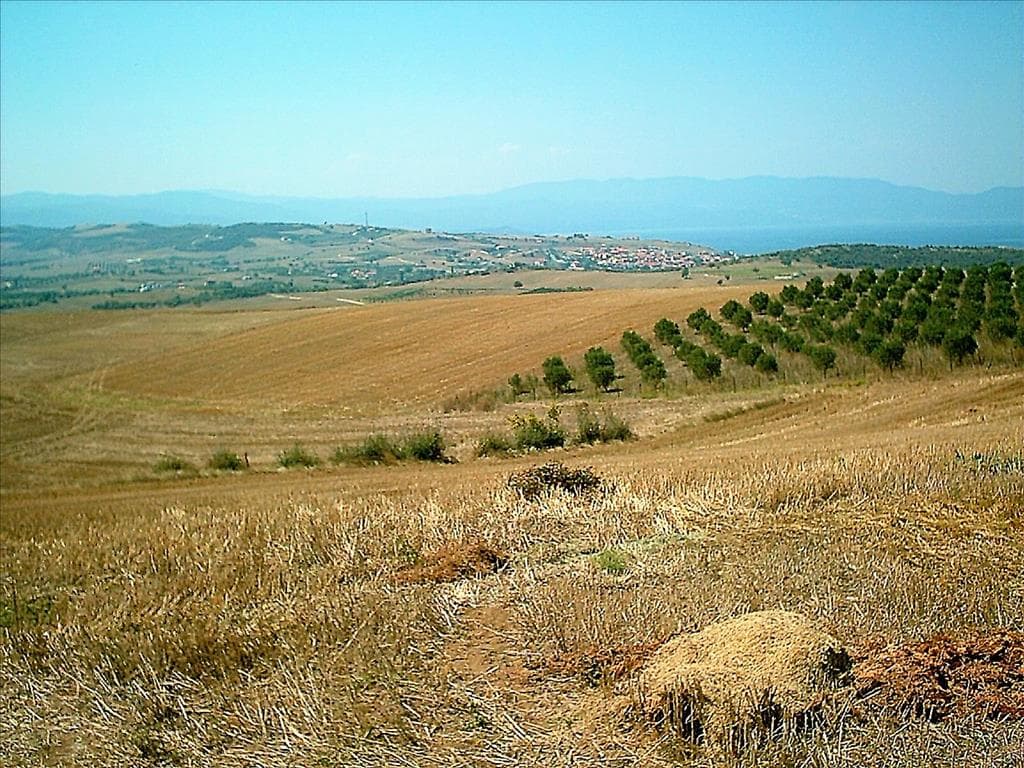For Sale Land 11200 m² in Athos, Chalkidiki
