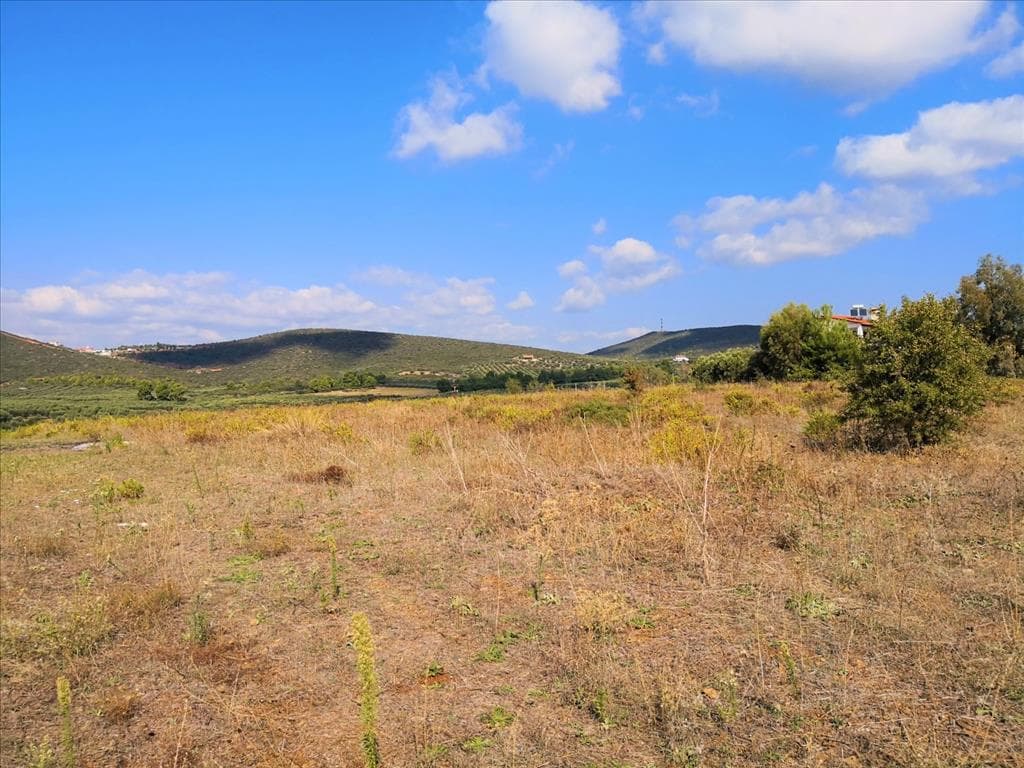 For Sale Land 30600 m² in Sithonia, Chalkidiki