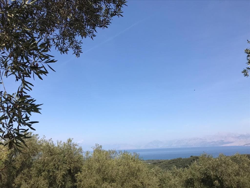 For Sale Land 6000 m² in Corfu