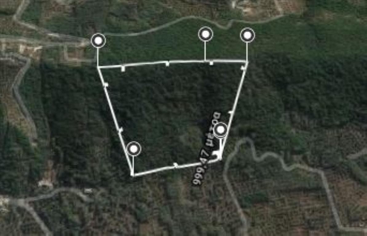 For Sale Land 60000 m² in Corfu