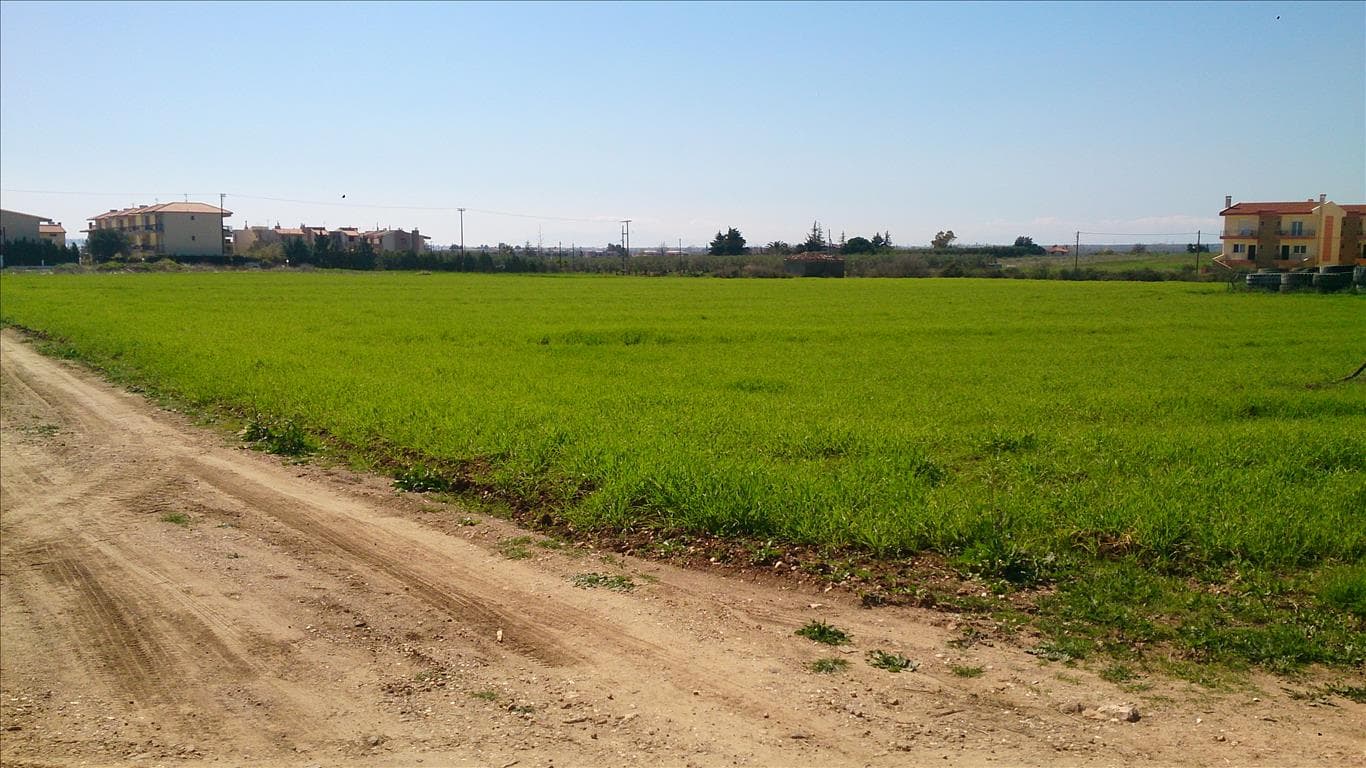 For Sale Land 8800 m² in Sithonia, Chalkidiki