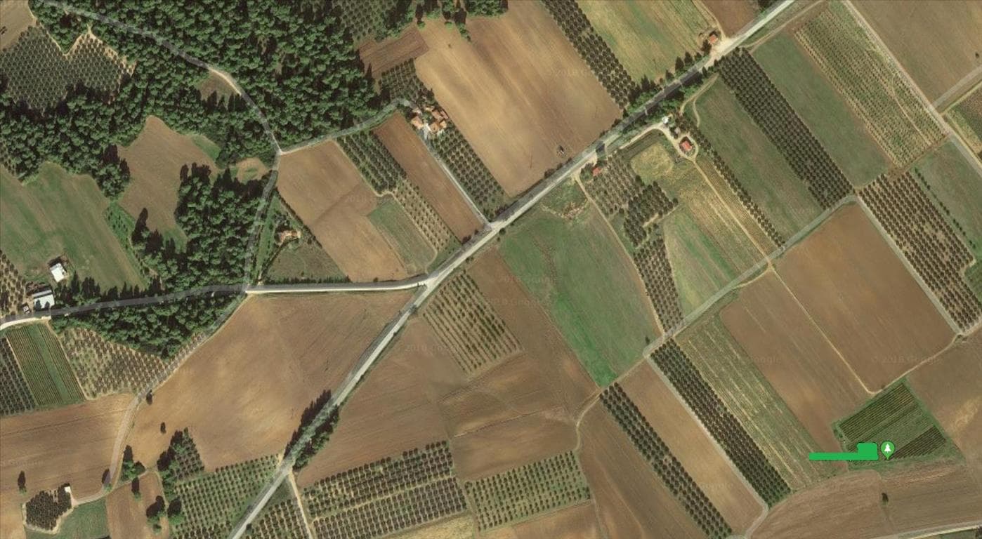 For Sale Land 9880 m² in Kassandra, Chalkidiki