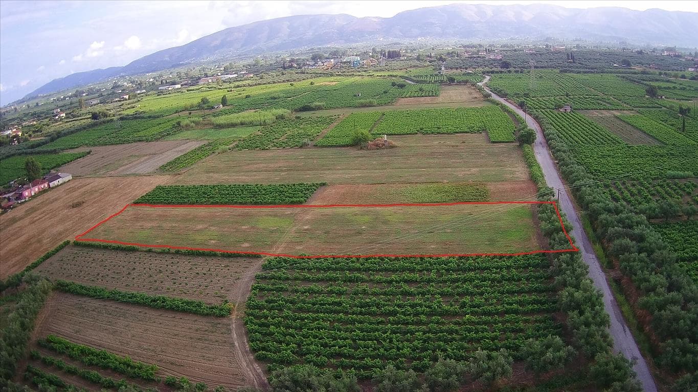 For Sale Land 4034 m² in Zante