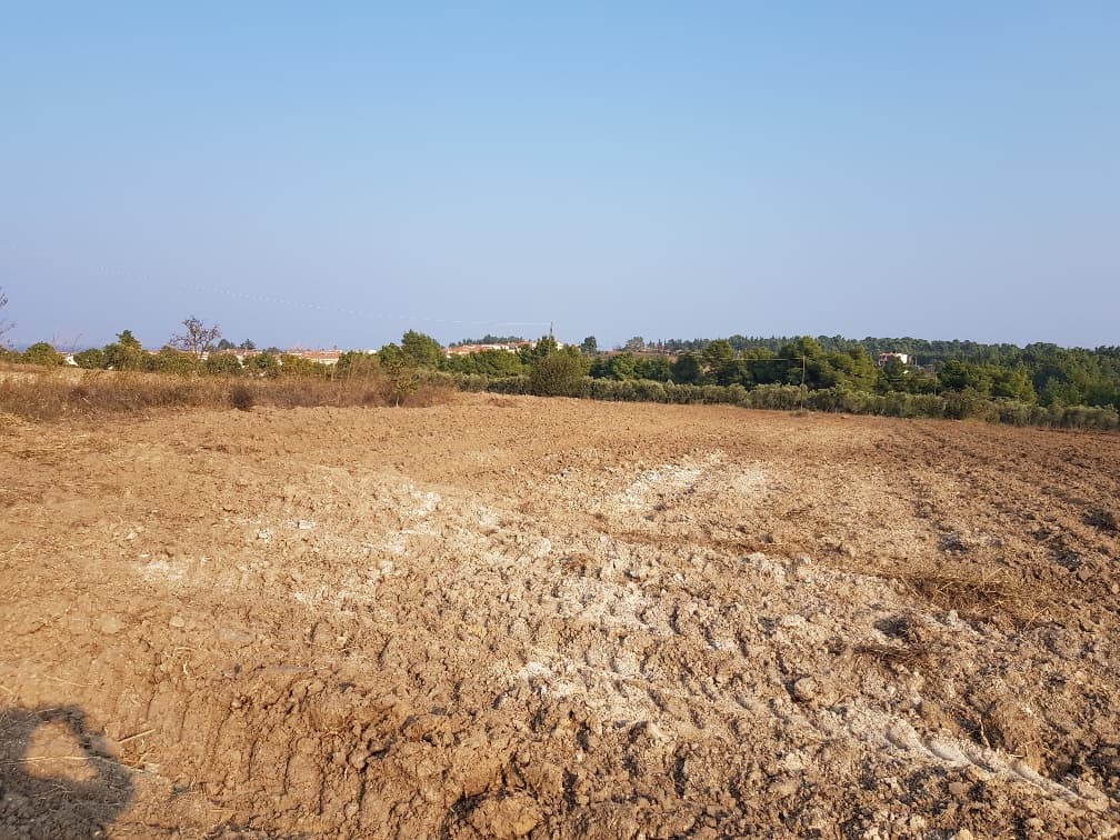 For Sale Land 11005 m² in Kassandra, Chalkidiki