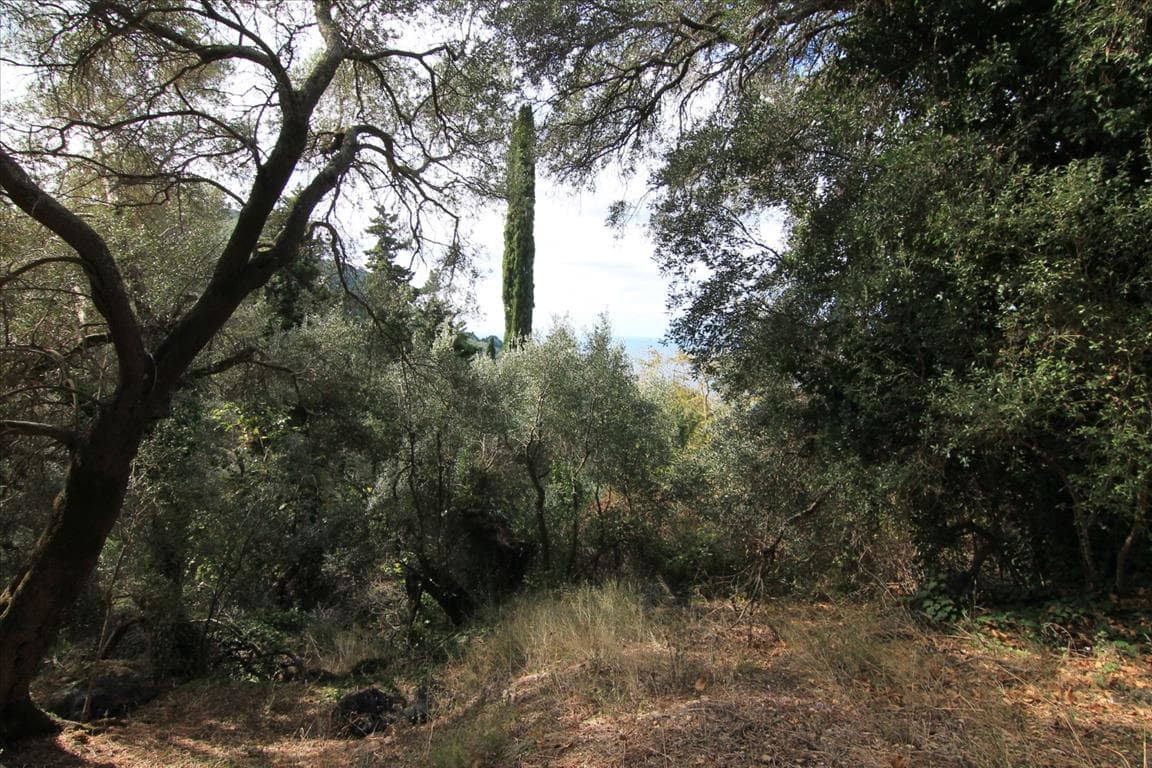 For Sale Land 5000 m² in Corfu