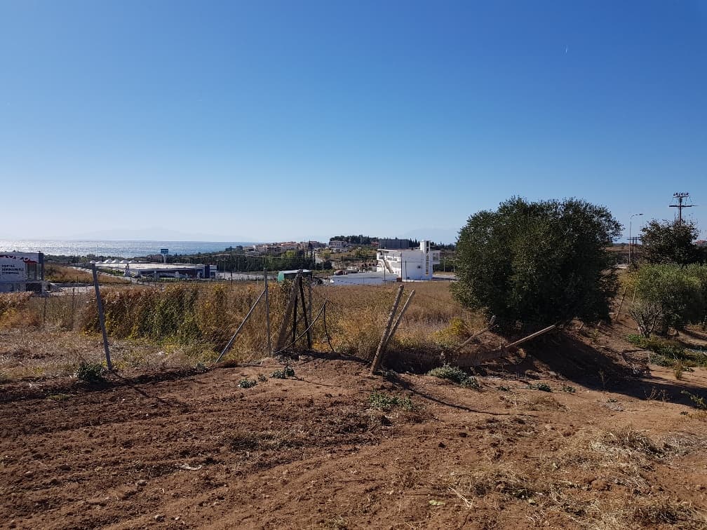 For Sale Land 5500 m² in Chalkidiki