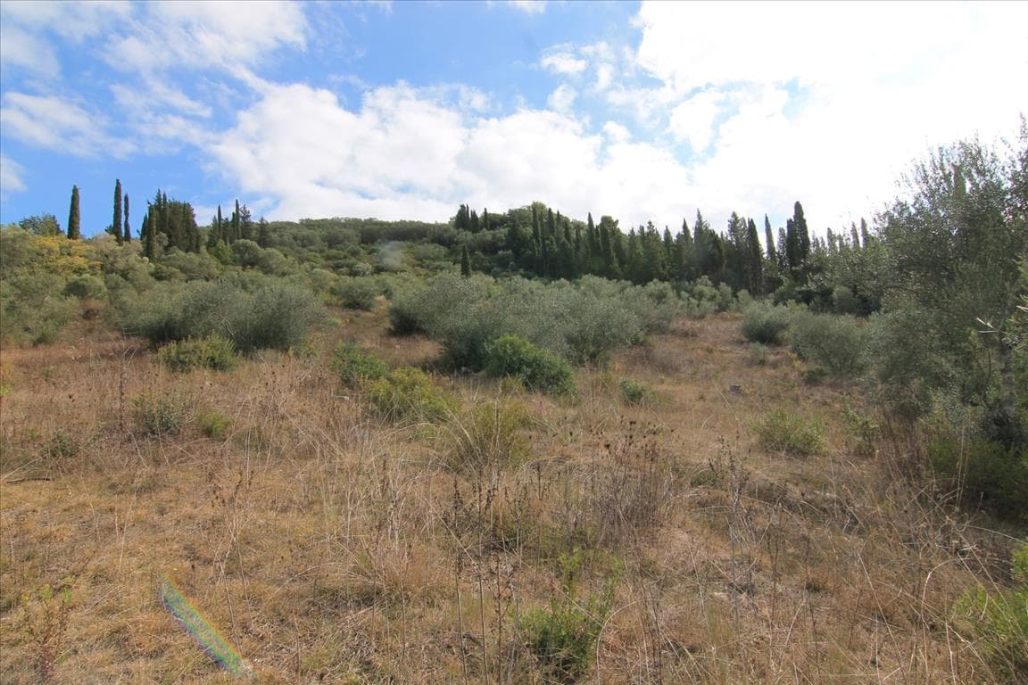 For Sale Land 15000 m² in Corfu