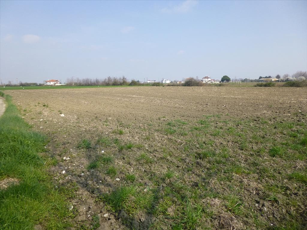 For Sale Land 8800 m² on the Olympic Coast