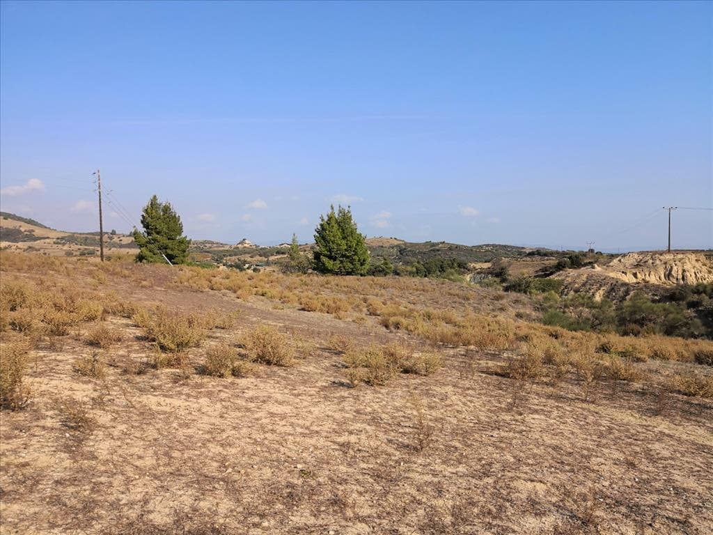 For Sale Land 2894 m² in Sithonia, Chalkidiki