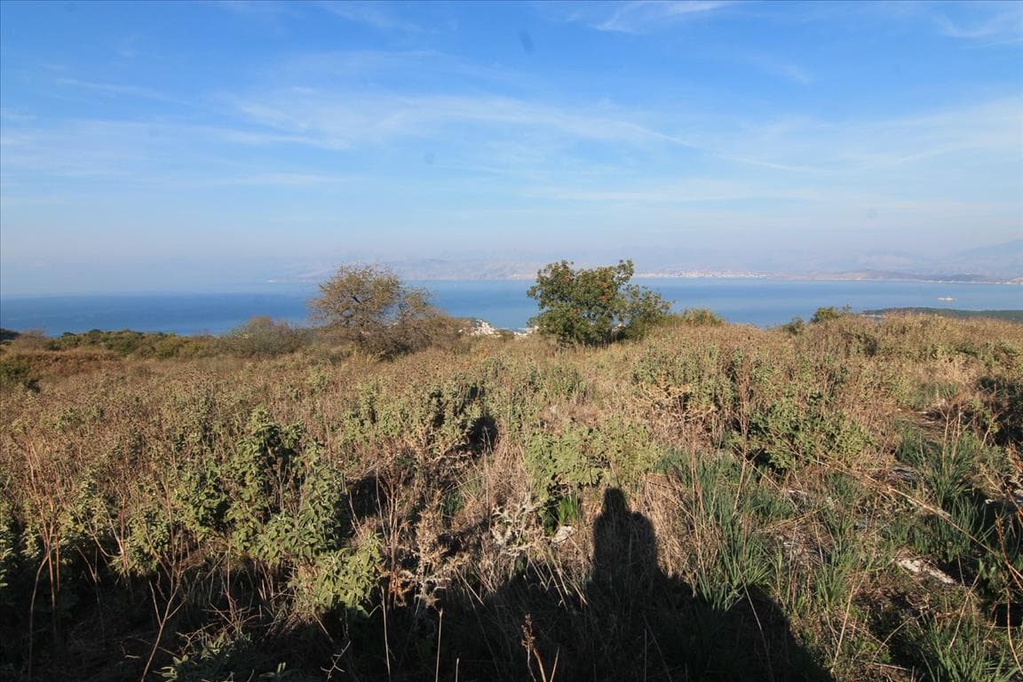 For Sale Land 11000 m² in Corfu