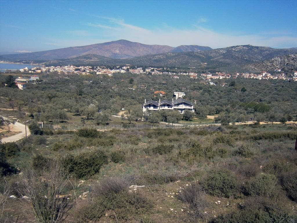 For Sale Land on the island of Thassos