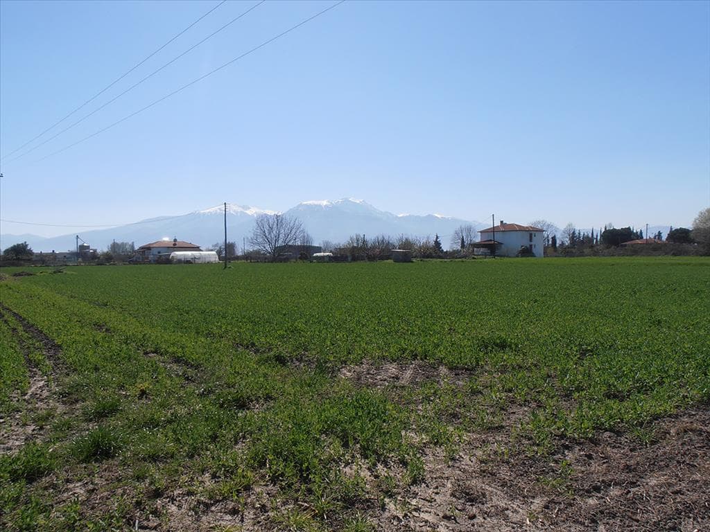 For Sale Land 4000 m² on the Olympic Coast