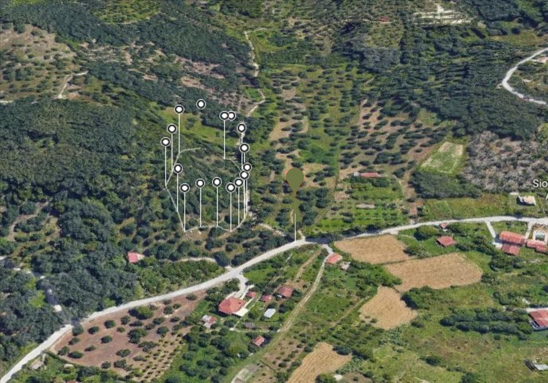 For Sale Land 4556 m² in Corfu