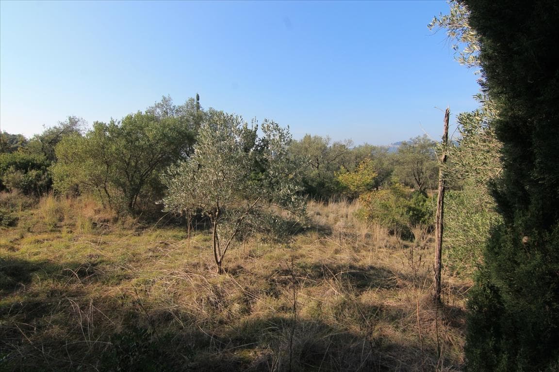 For Sale Land 5000 m² in Corfu