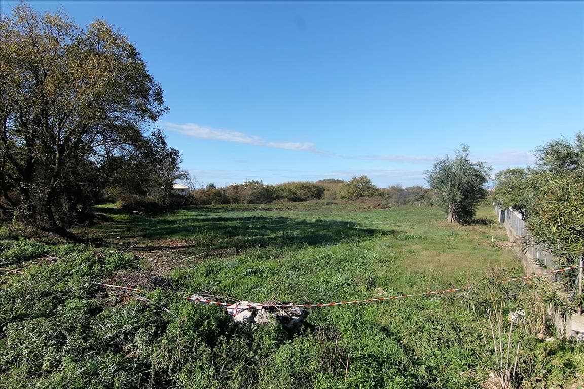 For Sale Land 5000 m² in Corfu