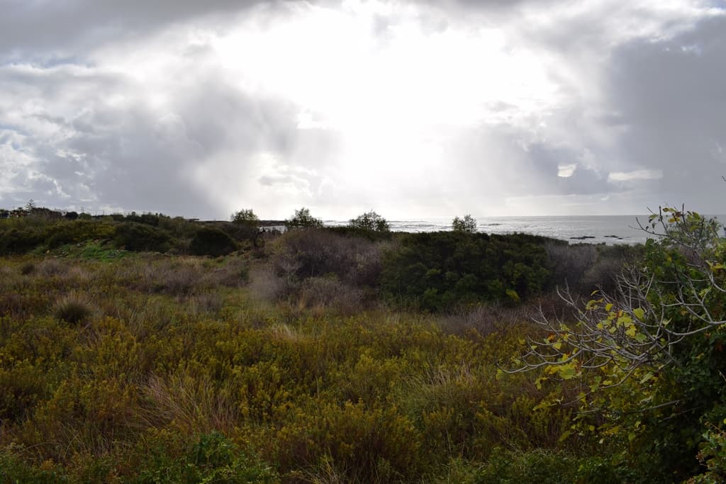 For Sale Land 4089 m² in Crete