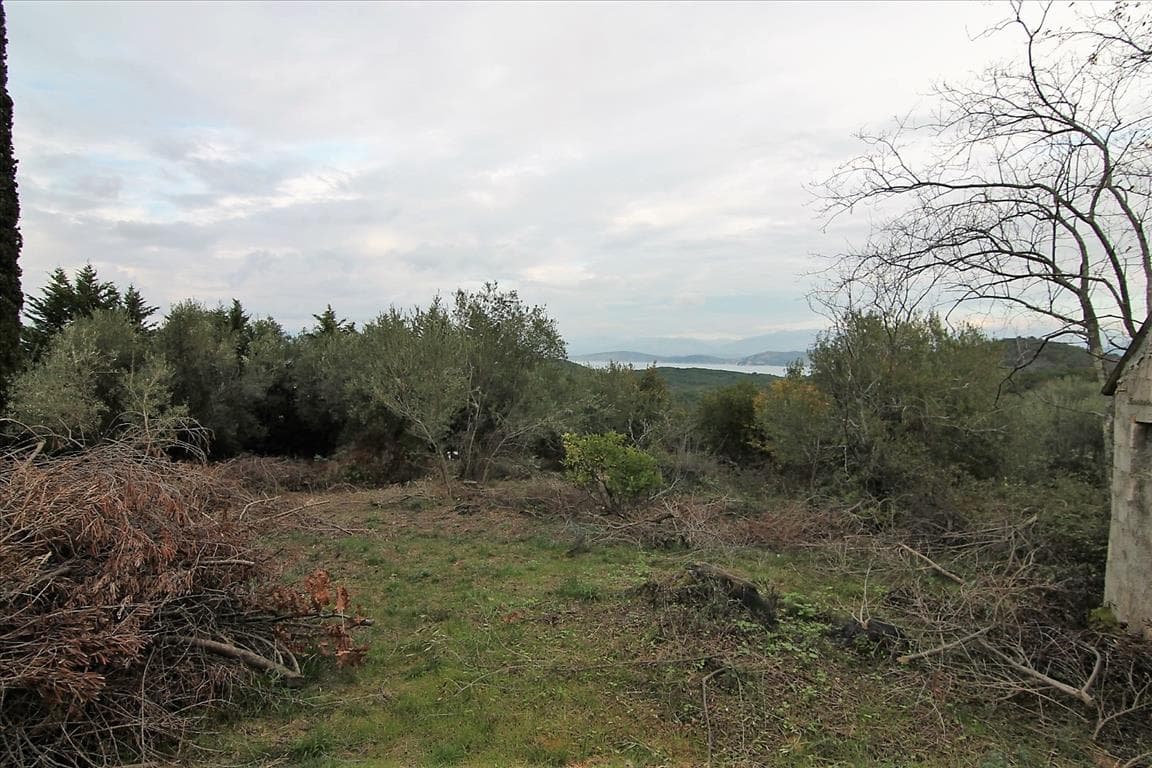 For Sale Land 5500 m² in Corfu
