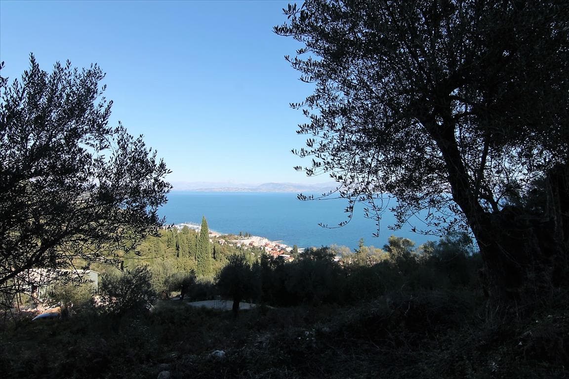 For Sale Land 9000 m² in Corfu