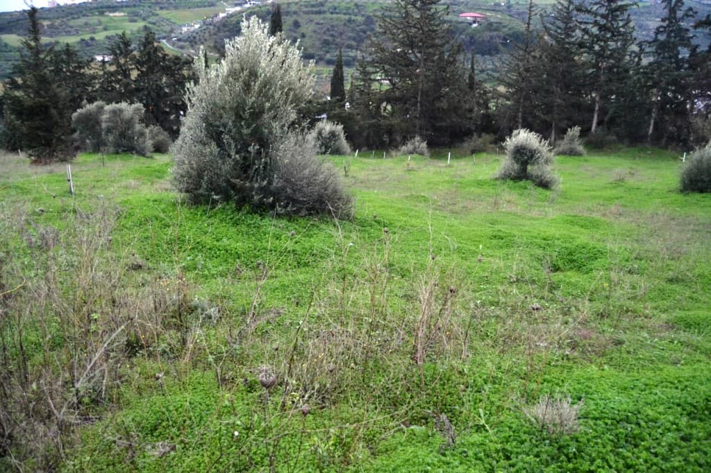 For Sale Land 4100 m² in Crete