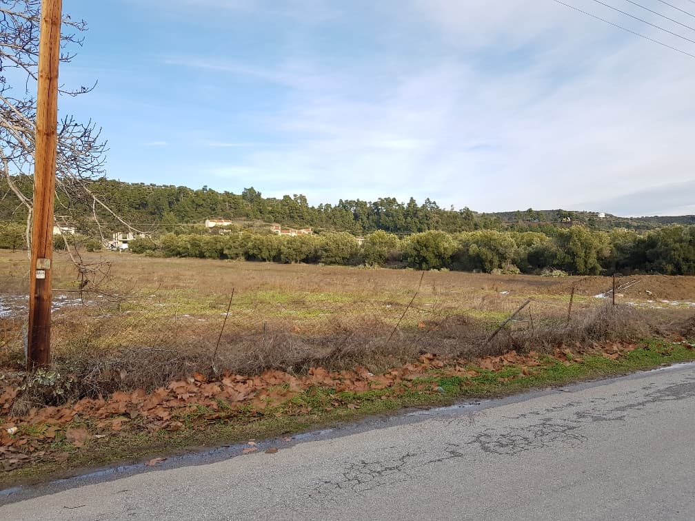 For Sale Land 4500 m² in Kassandra, Chalkidiki