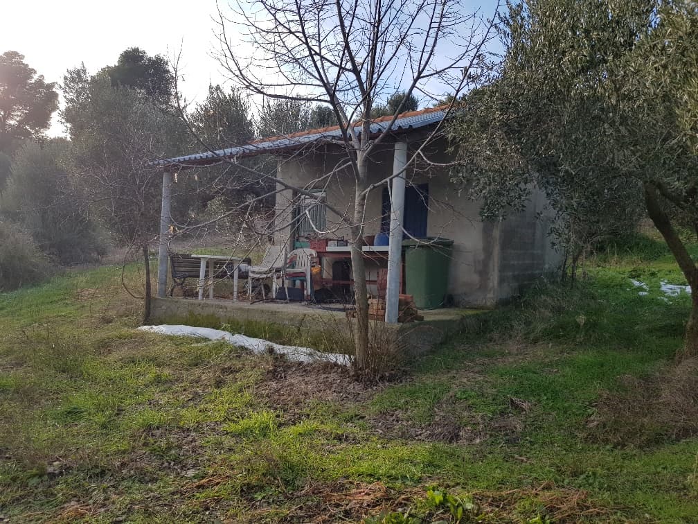 For Sale Land 4000 m² in Kassandra, Chalkidiki