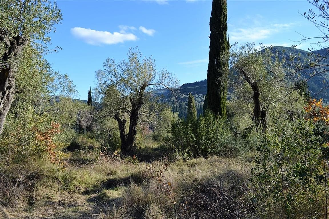 For Sale Land 8000 m² in Corfu