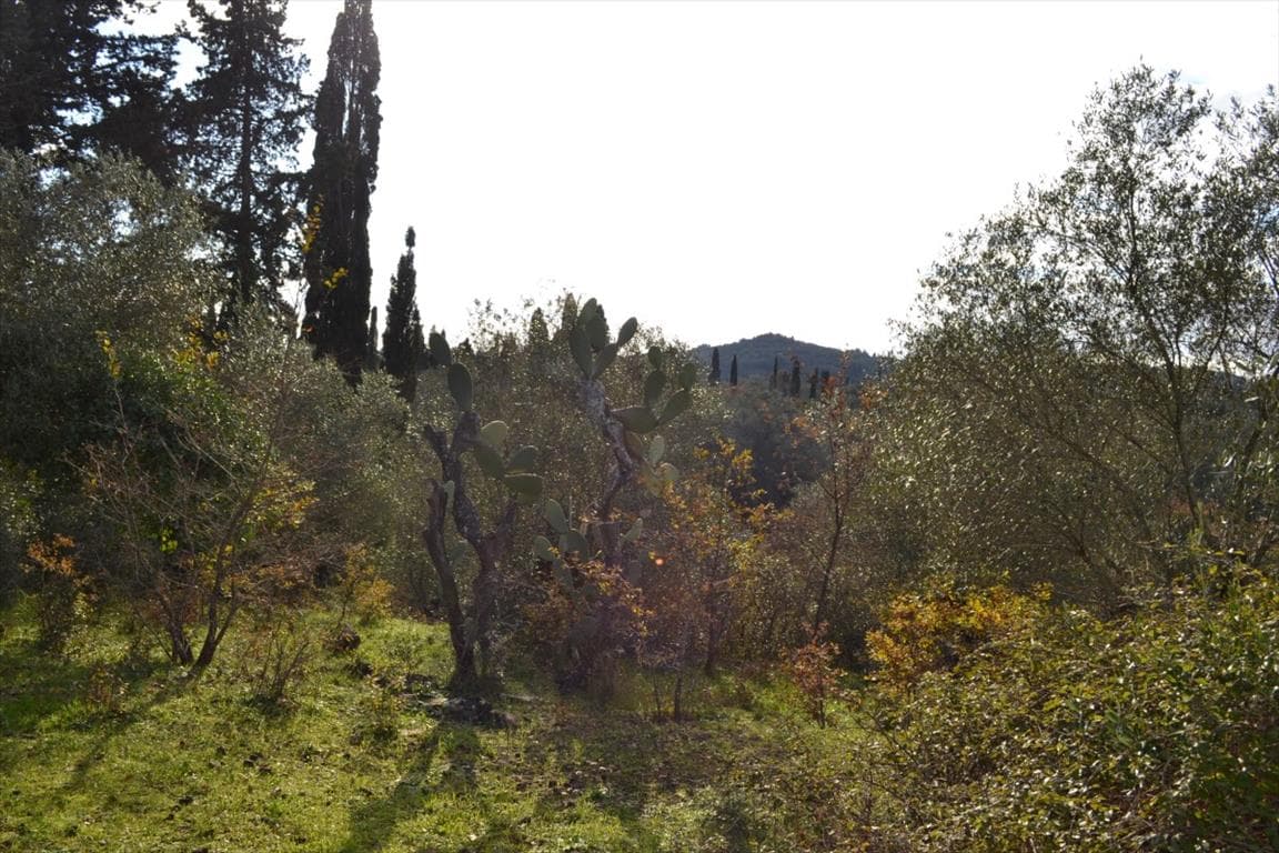 For Sale Land 20000 m² in Corfu