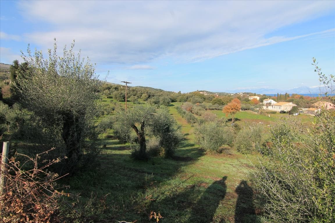 For Sale Land 9000 m² in Corfu