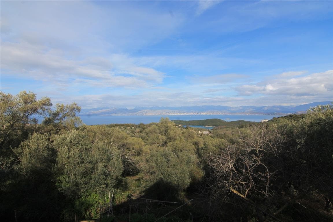 For Sale Land 11000 m² in Corfu