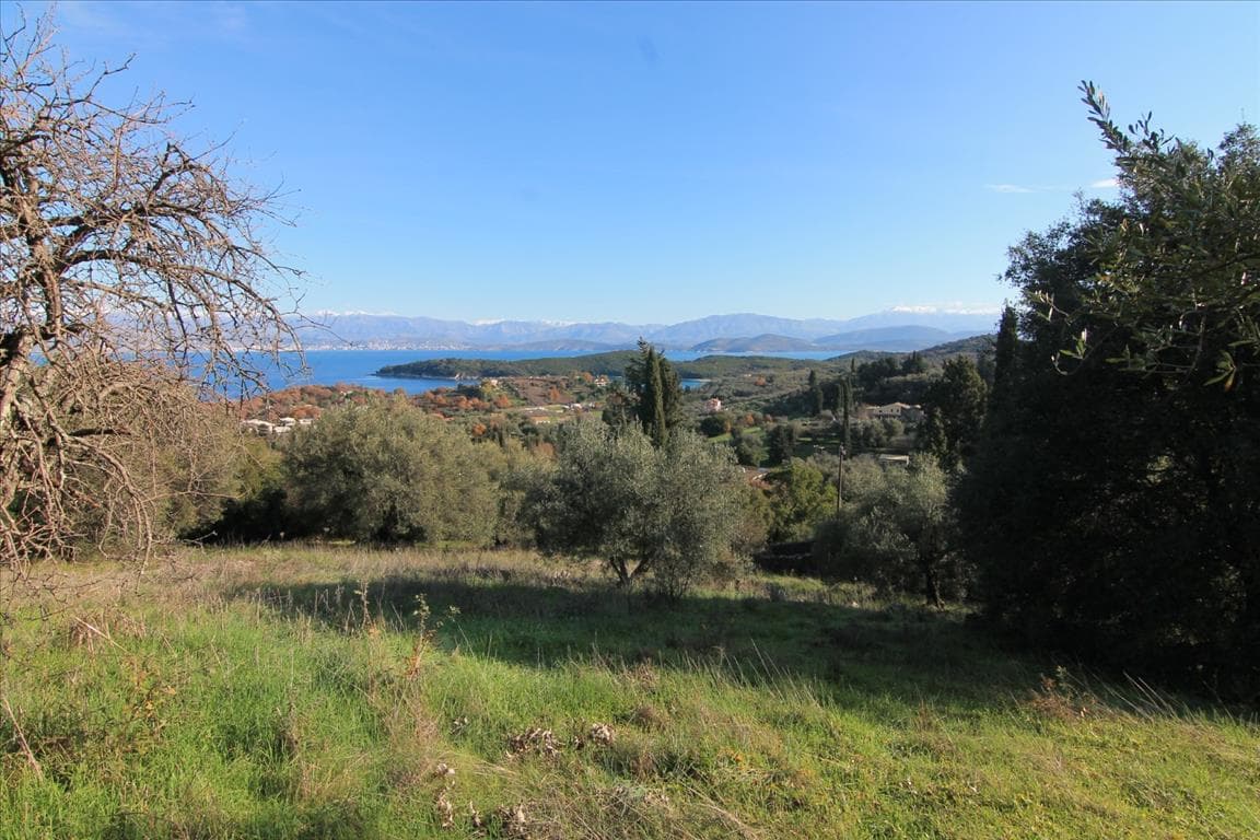 For Sale Land 12500 m² in Corfu