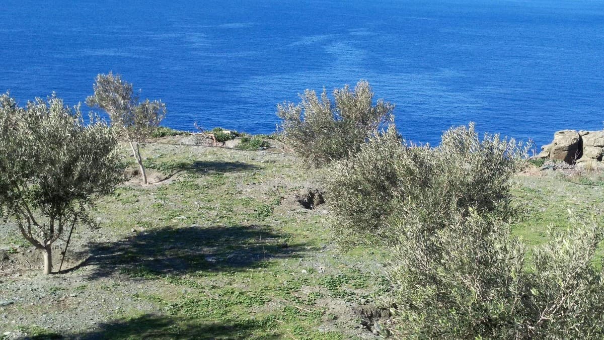 For Sale Land 27000 m² in Cyclades