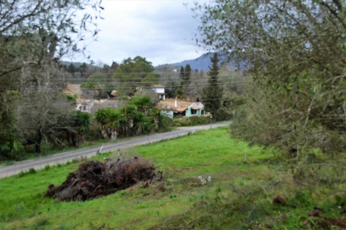 For Sale Land 5200 m² in Corfu