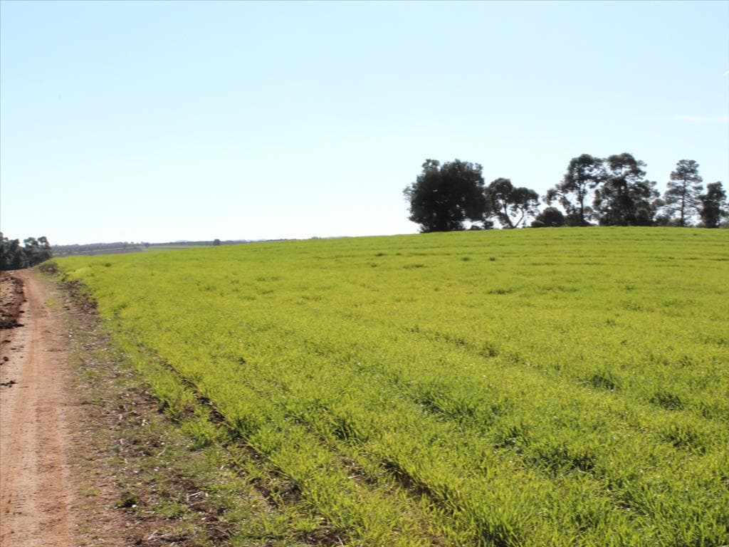 For Sale Land 103500 m² in Kassandra, Chalkidiki