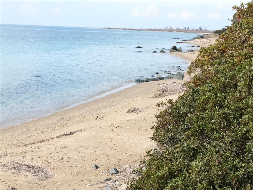 For Sale Land 13244 m² in Sithonia, Chalkidiki