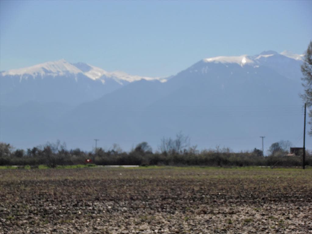 For Sale Land 9600 m² on the Olympic Coast