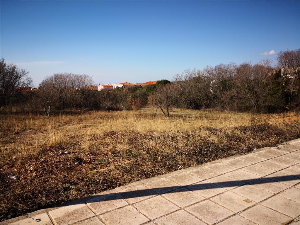 For Sale Land 465 m² in Chalkidiki