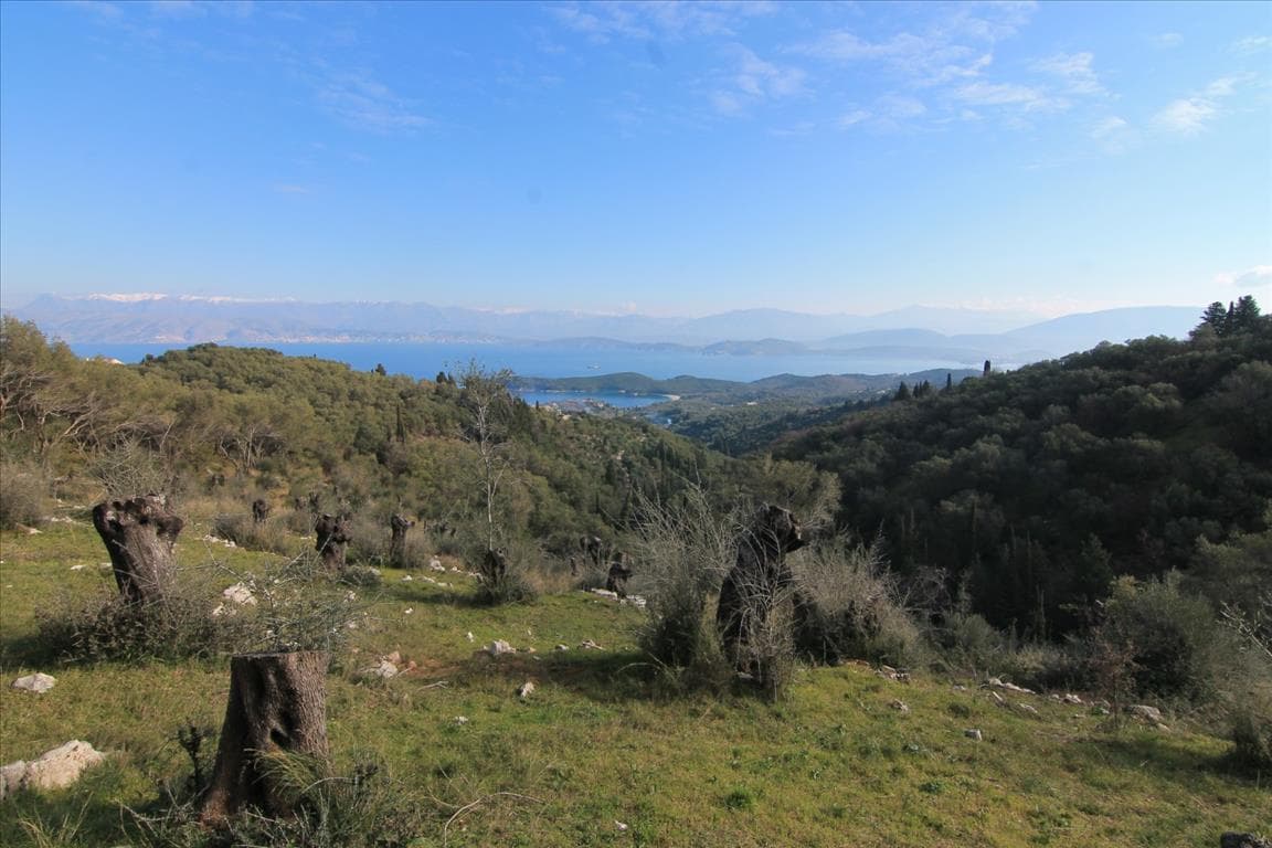 For Sale Land 6000 m² in Corfu