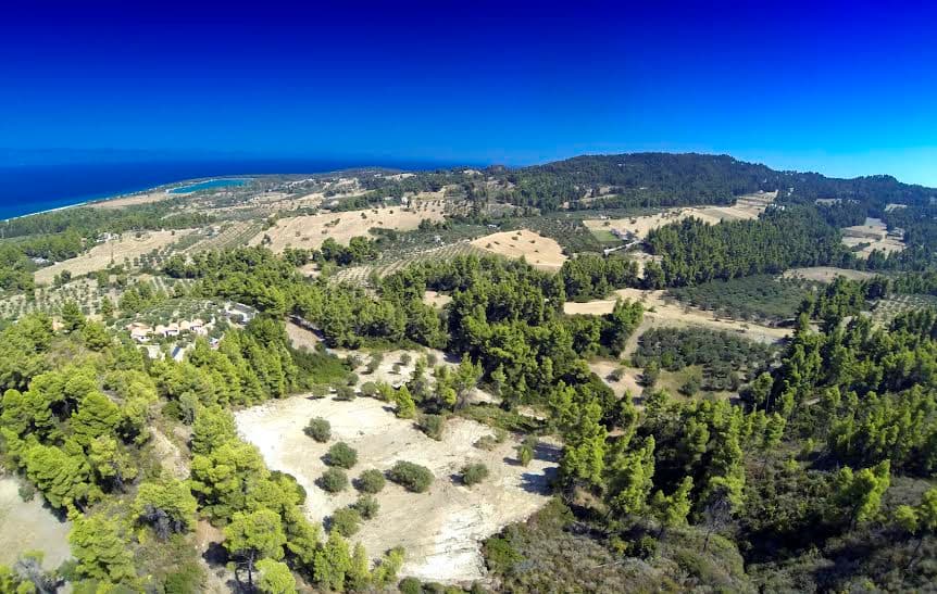 For Sale Land 12000 m² in Kassandra, Chalkidiki