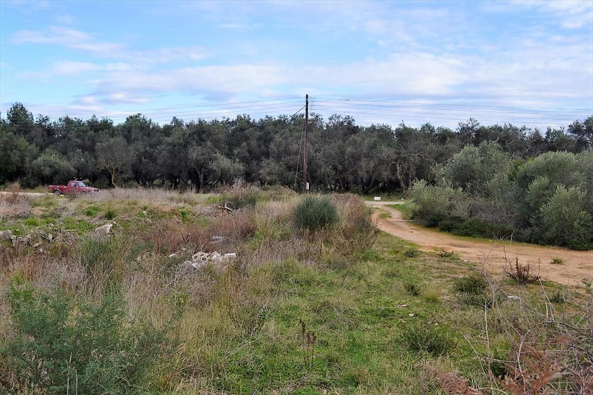 For Sale Land 5500 m² in Corfu