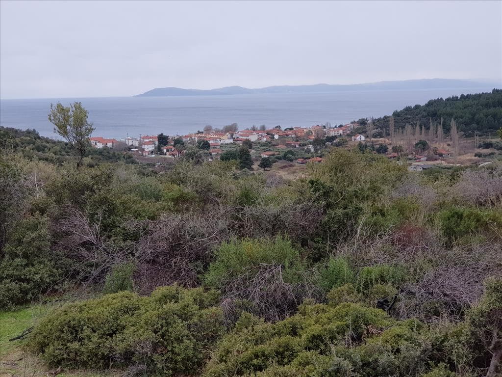 For Sale Land 12500 m² in Sithonia, Chalkidiki
