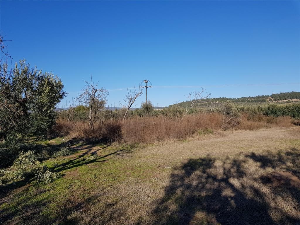 For Sale Land 1300 m² in Sithonia, Chalkidiki