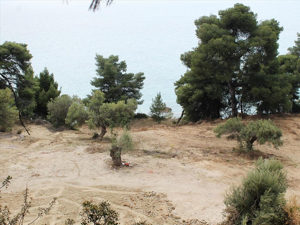 For Sale Land 4320 m² in Kassandra, Chalkidiki