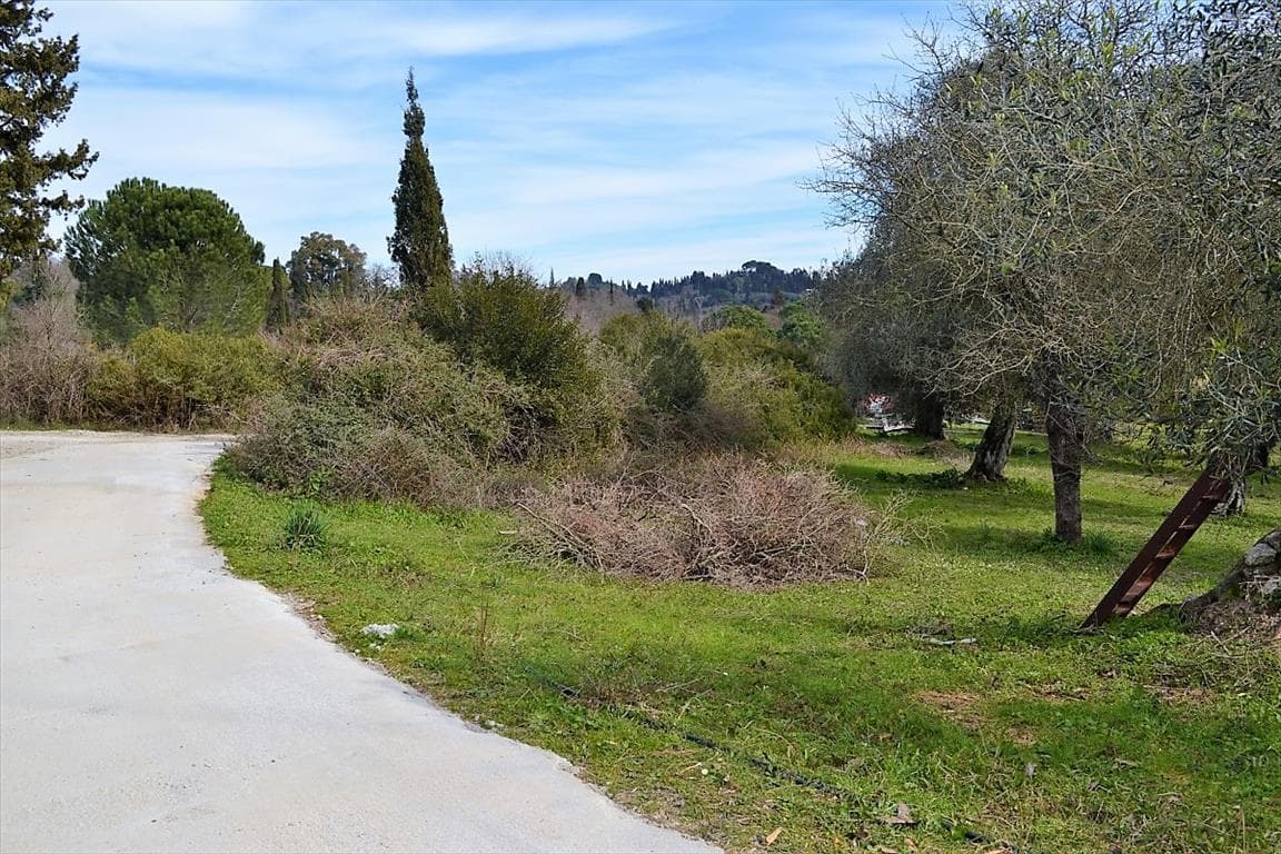 For Sale Land 5304 m² in Corfu