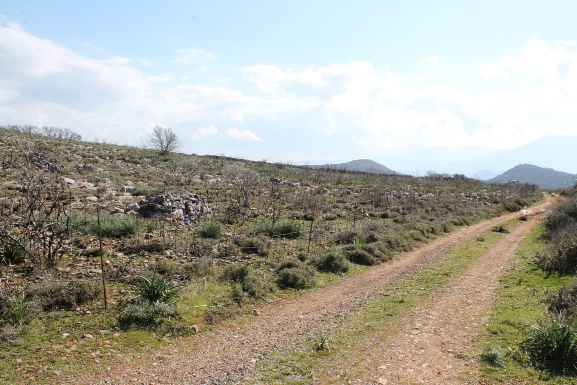 For Sale Land 18865 m² in Crete