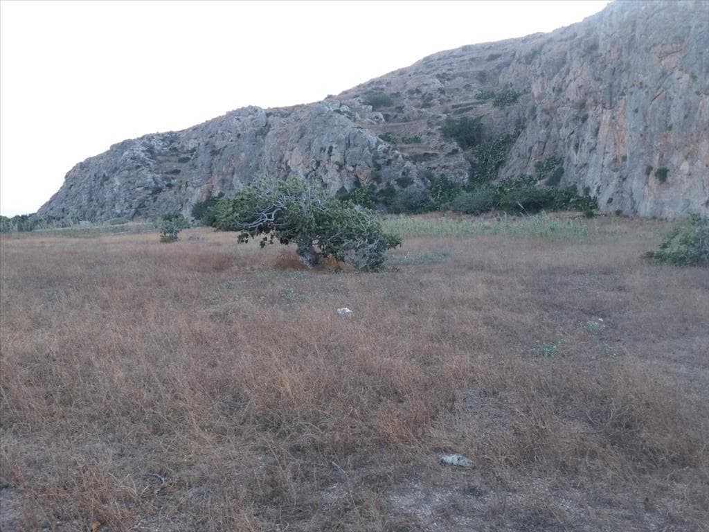 For Sale Land 5000 m² in Santorini