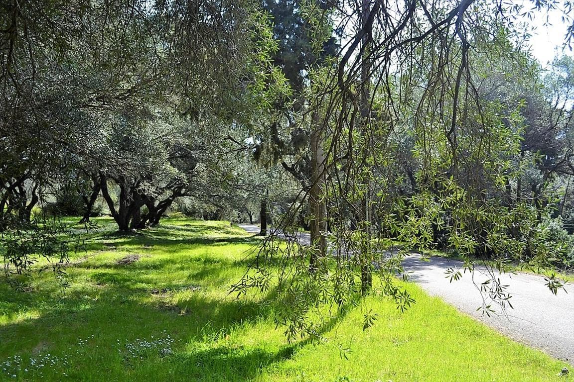 For Sale Land 4000 m² in Corfu