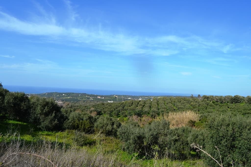 For Sale Land 5500 m² in Crete
